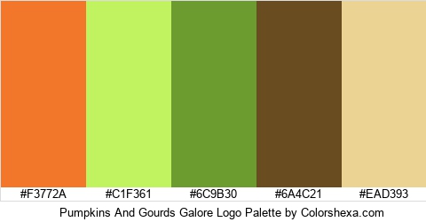 Pumpkins And Gourds Galore Logo Colors Logo