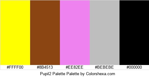 Pupil2 Palette Colors Logo
