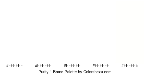 Purity 1 Brand Colors Logo