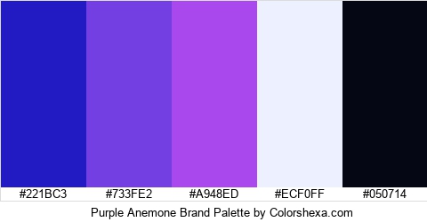 Purple Anemone Brand Colors Logo