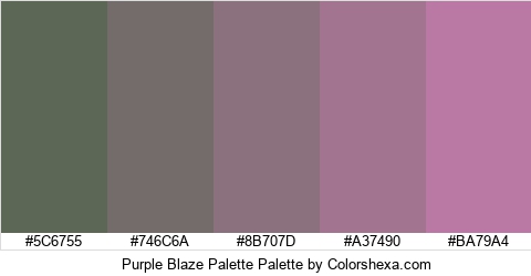 Purple Blaze Palette Colors Logo