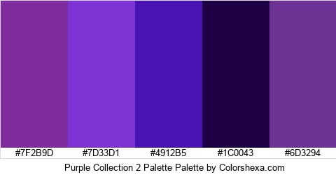 Purple Collection 2 Palette Colors Logo