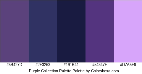 Purple Collection Palette Colors Logo