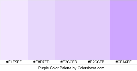 Purple Color Colors Logo