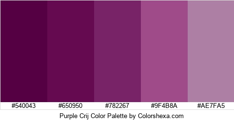 Purple Crij Color Colors Logo