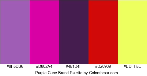 Purple Cube Brand Colors Logo