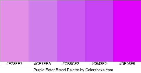 Purple Eater Brand Colors Logo