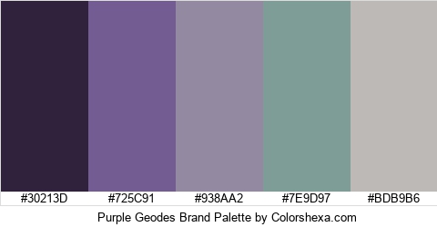 Purple Geodes Brand Colors Logo