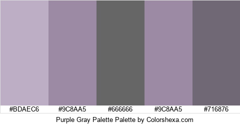 Purple Gray Palette Colors Logo