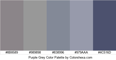 Purple Grey Color Colors Logo