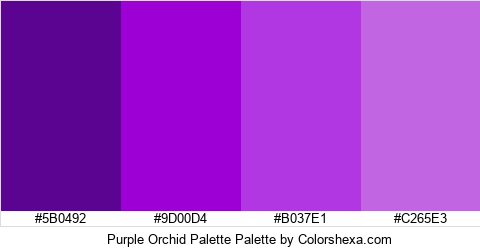 Purple Orchid Palette Colors Logo