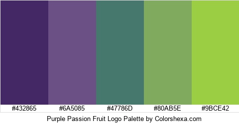 Purple Passion Fruit Logo Colors Logo