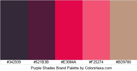 Purple Shades Brand Colors Logo
