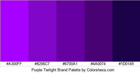 Purple Twilight Brand Colors Logo