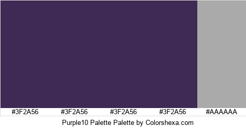 Purple10 Palette Colors Logo