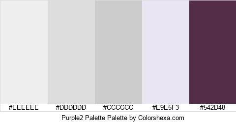 Purple2 Palette Colors Logo