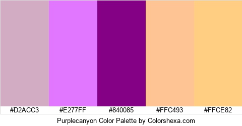 Purplecanyon Color Colors Logo