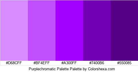 Purplechromatic Palette Colors Logo
