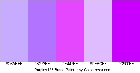 Purples123 Brand Colors Logo
