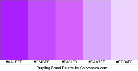 Purpling Brand Colors Logo
