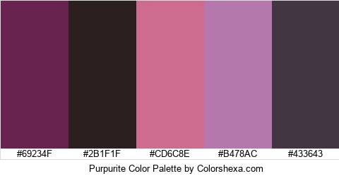 Purpurite Color Colors Logo