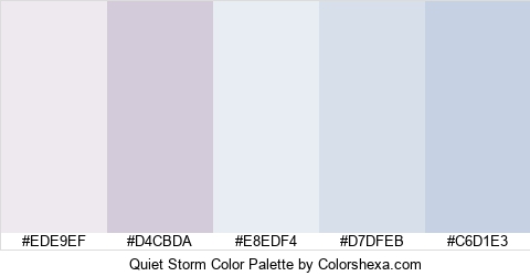 Quiet Storm Color Colors Logo