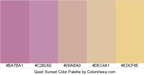Quiet Sunset Color Colors Logo