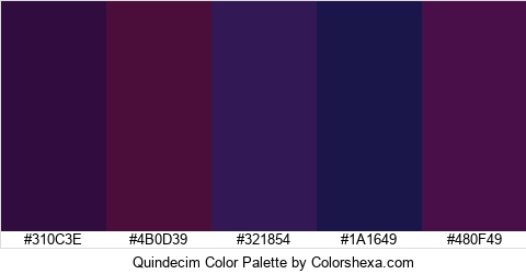 Quindecim Color Colors Logo