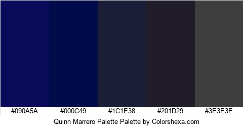 Quinn Marrero Palette Colors Logo
