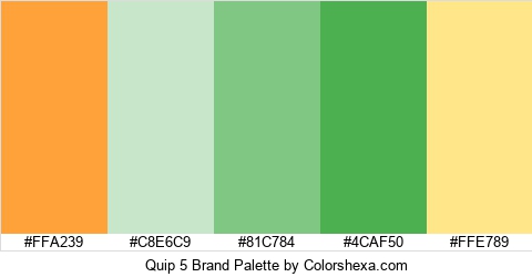 Quip 5 Brand Colors Logo