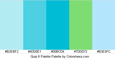 Quip 6 Palette Colors Logo