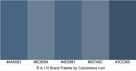 R A I N Brand Colors Logo