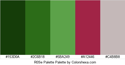 R0Se Palette Colors Logo