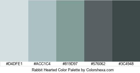 Rabbit Hearted Color Colors Logo