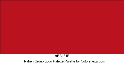 Raben Group Logo Palette Colors Logo