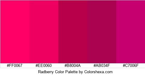 Radberry Color Colors Logo