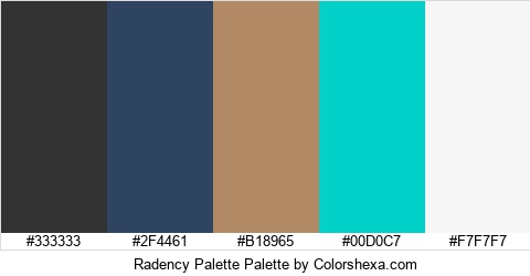 Radency Palette Colors Logo