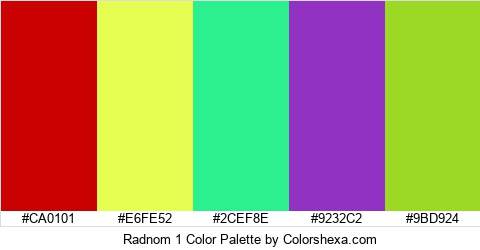 Radnom 1 Color Colors Logo