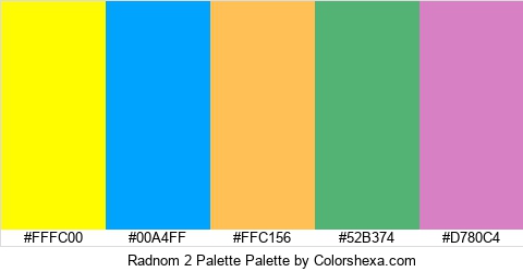 Radnom 2 Palette Colors Logo