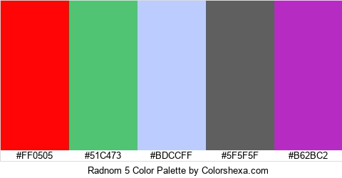 Radnom 5 Color Colors Logo