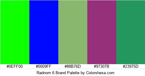 Radnom 6 Brand Colors Logo