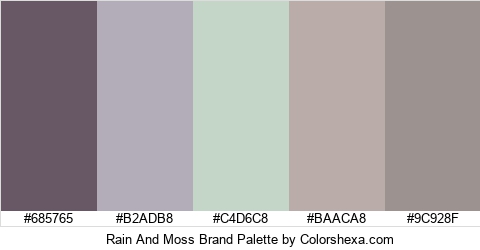 Rain And Moss Brand Colors Logo