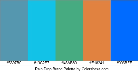 Rain Drop Brand Colors Logo