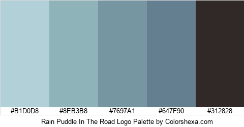 Rain Puddle In The Road Logo Colors Logo