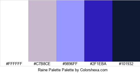 Raine Palette Colors Logo
