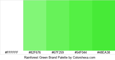 Rainforest Green Brand Colors Logo