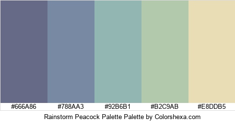 Rainstorm Peacock Palette Colors Logo