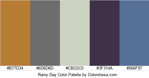 Rainy Day Color Colors Logo