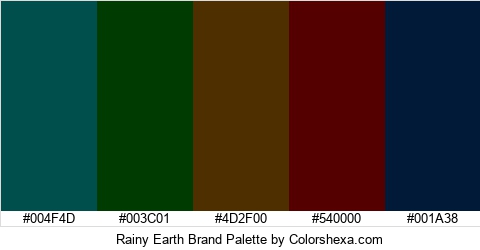 Rainy Earth Brand Colors Logo