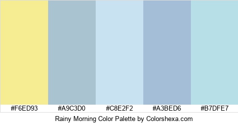 Rainy Morning Color Colors Logo